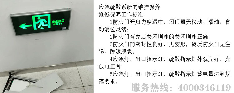 芭乐视频下载在线下载维保