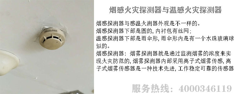 芭乐APP成人探测器